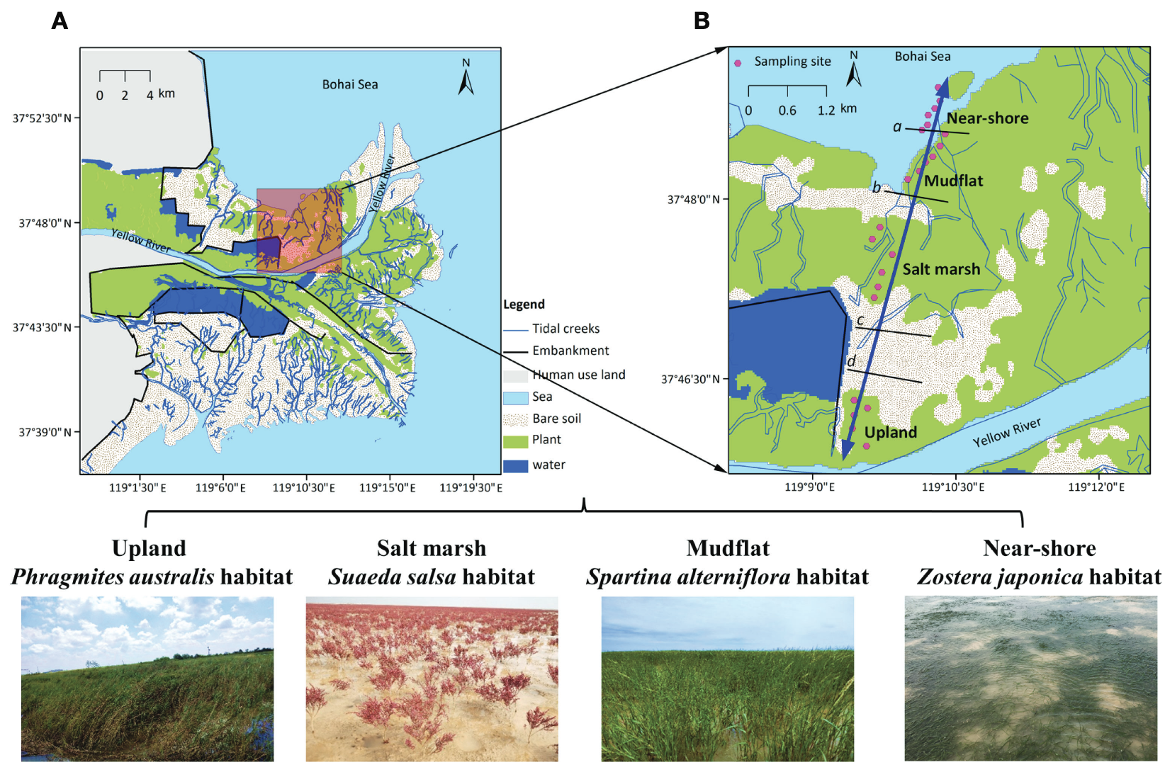 Aquatic ecosystems responding to environmental change
